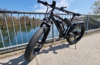 Electric Bikes: economic Nature of E-Bikes