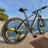 Fat Tire Ebike