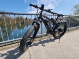 Electric Bikes: economic Nature of E-Bikes